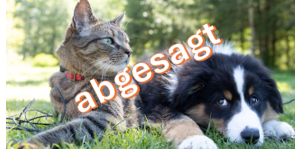 Absage Tiersegnung (c) andrew-s-ouo1hbizWwo-unsplash Absage Tiersegnung